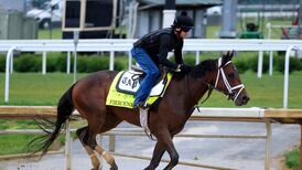 US star Fierceness emerges as Breeders’ Cup danger to City Of Troy after Travers success in Saratoga