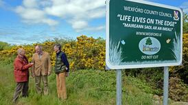 Wexford puts wild flowers back on the roadside