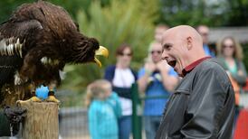 ‘An eagle can crush a monkey’s skull with one foot’