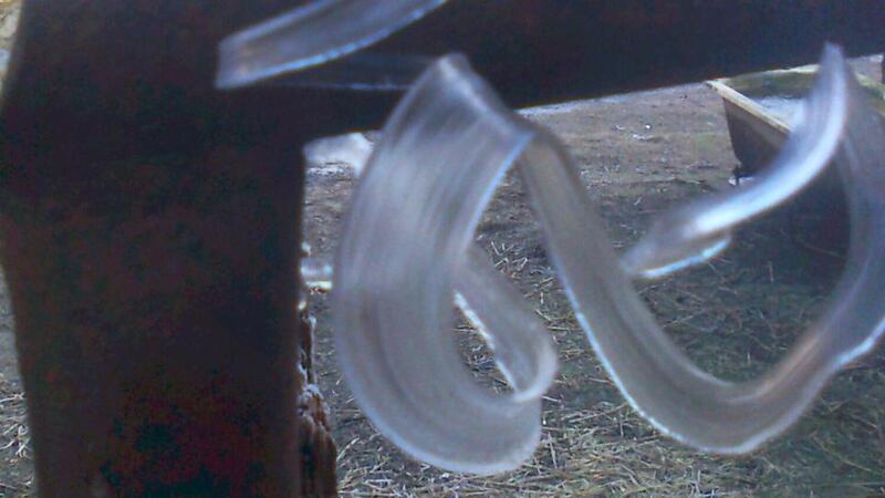 Eyes on nature: one of the frost flowers photographed on a farm pipe by John Ryan