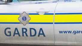 Conor Lally: Garda plan to target burglars not succeeding