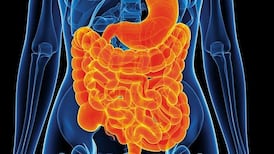 Make-up of gut microbiome may be linked to long Covid – study finds