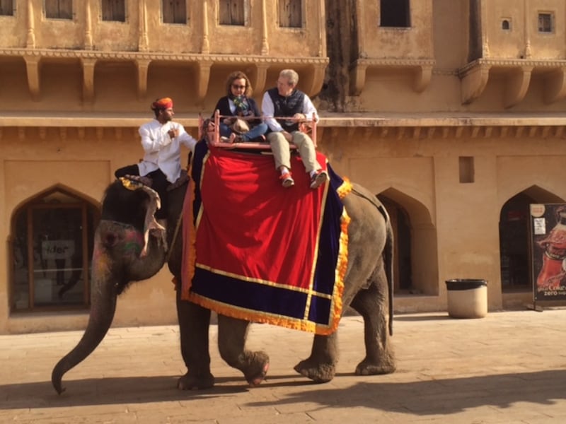 An elephant ride in Jaipur, India