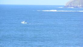 Concern about State response to dislodged Corrib discharge pipe