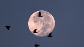 Last supermoon of 2023, the year’s Harvest Moon, visible Friday