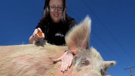 Suncream uncovered: 15 things you should know