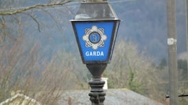 Man questioned after two dogs and six horses shot dead at Cork farm