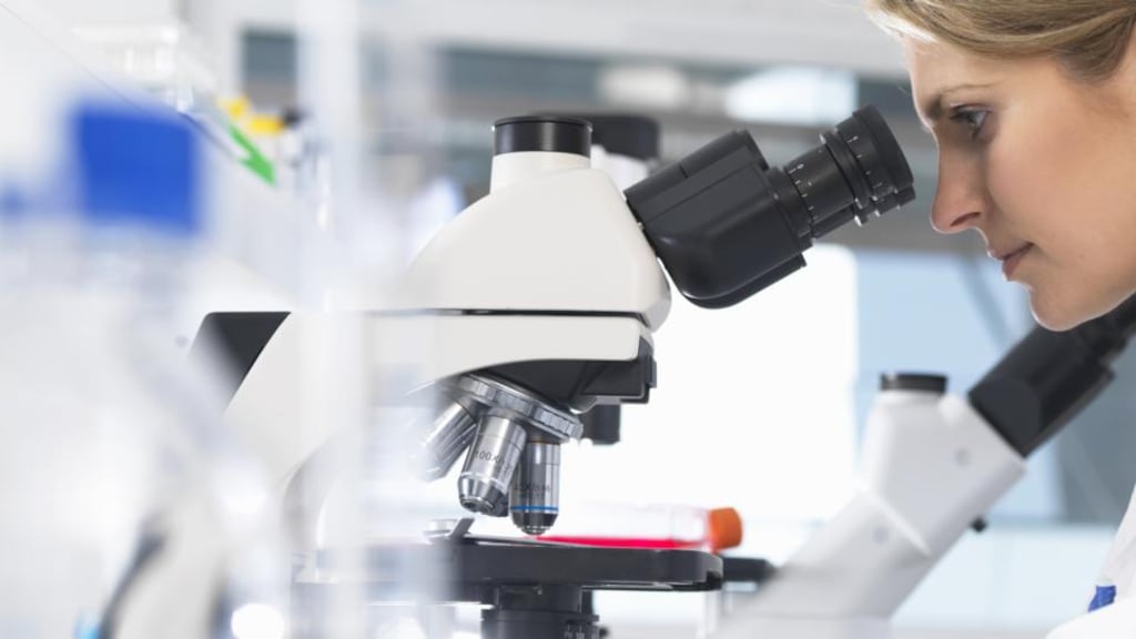 CervicalCheck: the HSE said its screening programme is safe and effective and that its three laboratories “are operating within expected international standards”. Photograph: Rafe Swan/Cultura/Getty