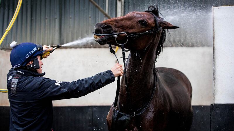 Presenting Percy is now trained by Gordon Elliott. Photograph: Ryan Byrne/Inpho