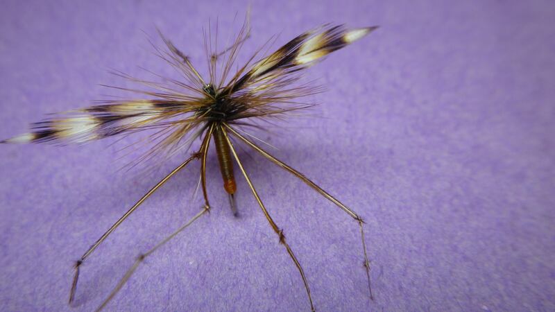 Daddy Long Legs, tied by Jimmy Tyrrell (irishflycraft@gmail.com).