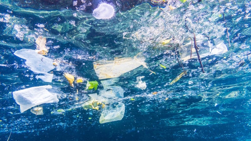 The SUP directive focuses on 10 single-use plastic items commonly found on European beaches. Photograph: iStock