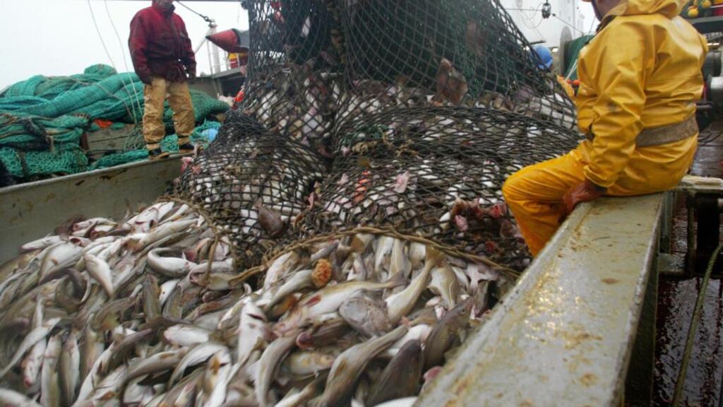 The Irish Fish Producers’ Organisation said Ireland is the only EU member state implementing the penalty points system within its fleet, while other vessels fish with “impunity” in Irish waters. File photograph: Marcel Mochet/AFP/Getty Images
