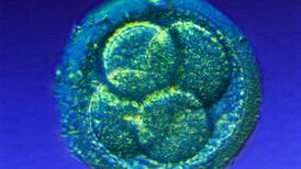 First baby with three genetic parents born in Mexico