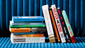 International Booker Prize 2024 longlist announced: 13 translated novels feature