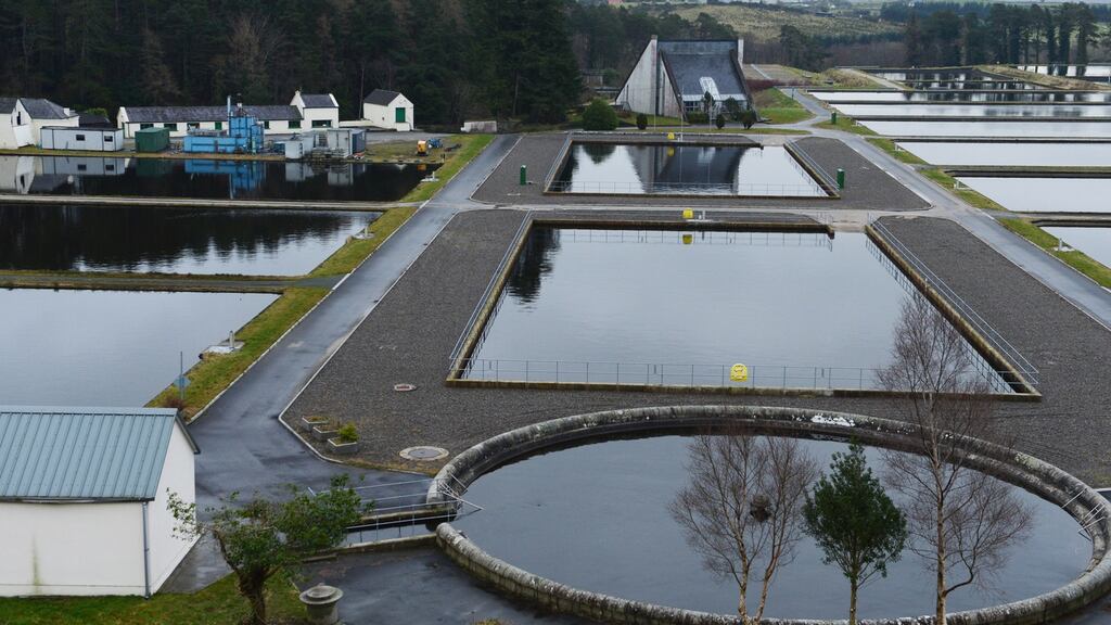 The Vartry reservoir in Co Wicklow. A prolonged dry spell could lead to water shortages with reductions in pressure, Irish Water warned. Photograph: Cyril Byrne