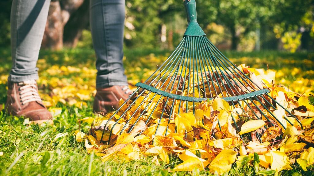 Autumn gardening is making one reader happy. Photograph: iStock