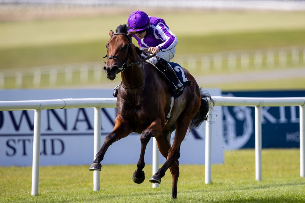Cairo is fancied in the Group 2 UAE Derby at the Dubai World Cup Carnival. Photograph: Morgan Treacy/Inpho