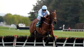 Honeysuckle in running to be crowned Horse of the Year for second year in a row