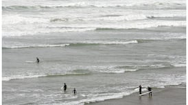 Woman recovering from cliff fall after Sea Sessions festival