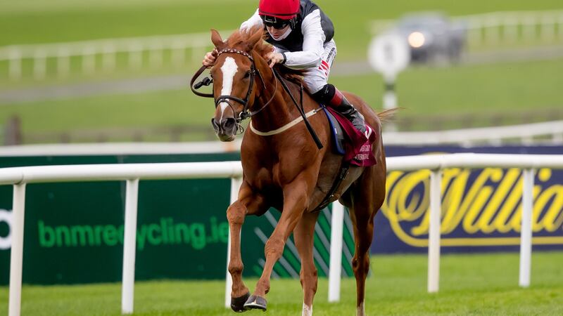 The Dermot Weld-trained Search for a Song runs in the Prix De Royallieu on Saturday. Photograph: Morgan Treacy/Inpho