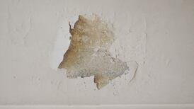 Is my bathroom fan creating damp on my ceiling?