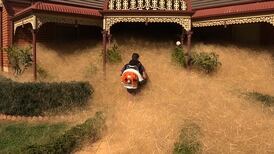 ‘Hairy panic’ tumbleweed clogs up Australian town