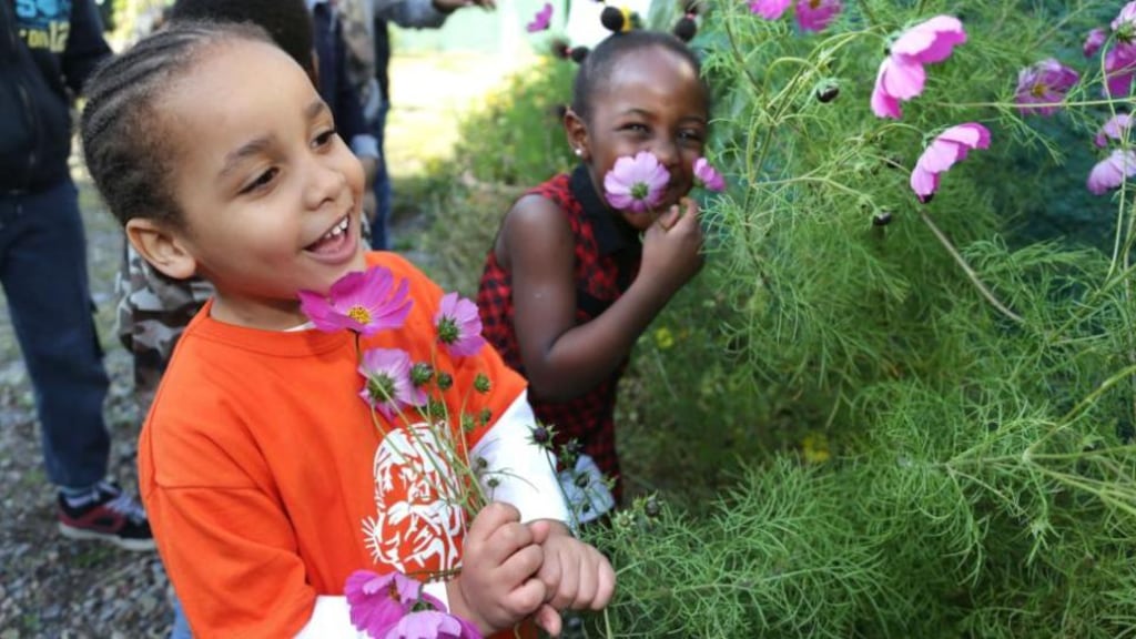 Ty Gorelashvili (foreground) and Praise Limbila at the flower display in the residents organic garden at the Eglinton asylum seekers’ accommodation centre in Salthill, Galway. Photograph: Joe O’Shaughnessy
