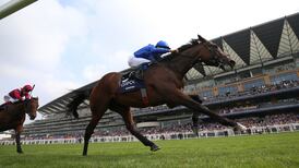 Love loses out as Adayar cements superstar status to win King George