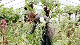 Say it with ecoflowers