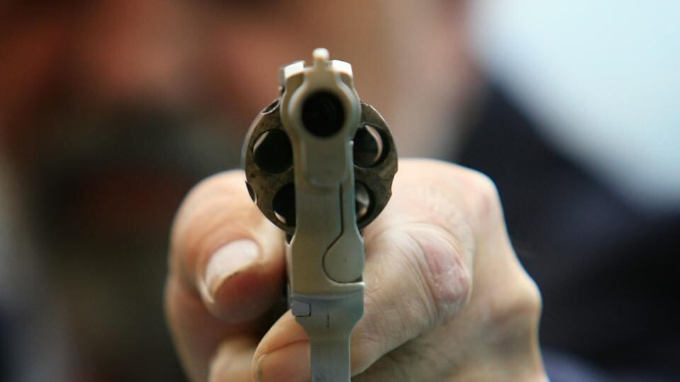 INCORRECT: There was no mild gun reform in the US