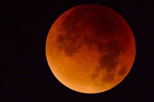 Blood moon to be visible in Irish skies early on Friday morning