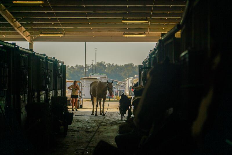 A horse at the National Barrel Horse Association (NBHA) World Championship in Perry Georgia. Photograph: Enda O'Dowd