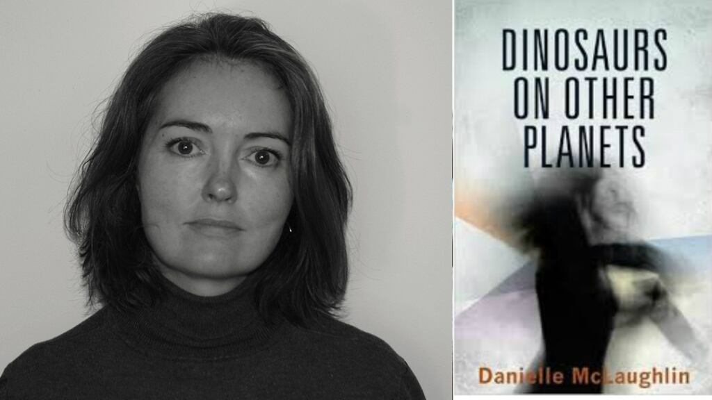 Jennifer Harvey on Danielle McLaughlin: “No sentence is without purpose, each word is carefully considered to ensure the description goes beyond mere scene setting; this is imagery and description functioning at a deep psychological level, the characters revealed to us as much through the things they say and do as the things they subconsciously observe”