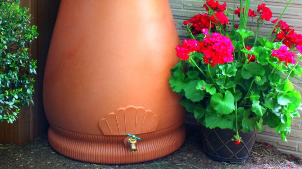 With the impending water charges, this year might have been the last time to enjoy such a flamboyant abundance of colour in the garden. To ensure beloved blooms are sustained, why not install a water butt