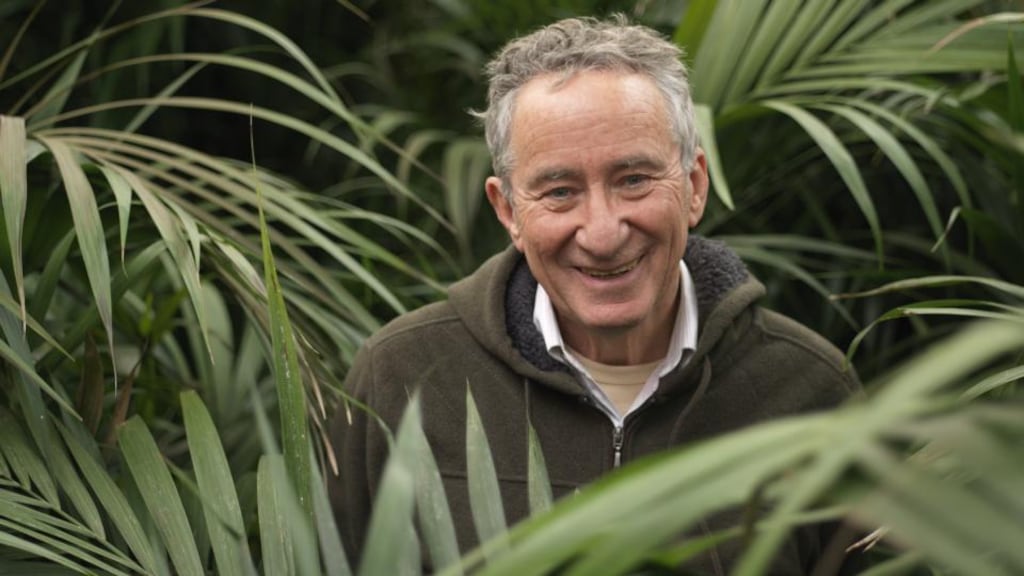 Sam Smyth of Urban Plant Life surrounded by the Kentia palm (Howea forsteriana), one of his favourite indoor plants. Photographs: Richard Johnston
