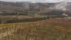 Mid-week tipple: a dry Pinot Blanc and an unoaked Rioja