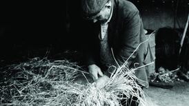 Straw, Hay and Rushes in Irish Folk Tradition, by Anne O’Dowd: art and craft