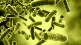 State facing more ‘avoidable deaths’ unless superbugs dealt with