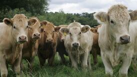 Creed accused of ‘rolling over’ on South America beef deal