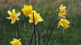 Temperatures take a tumble in chilly March