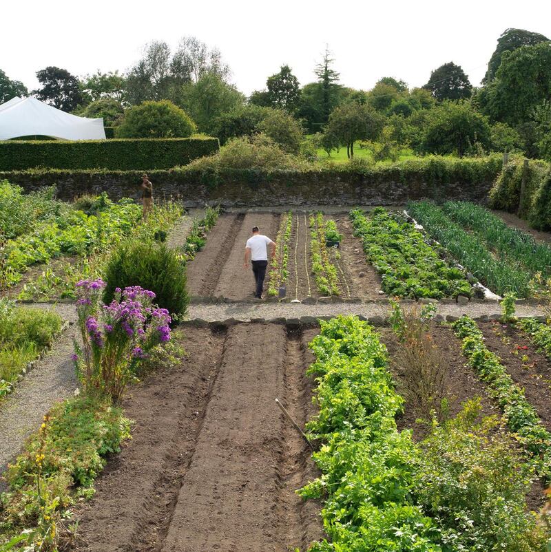 Overview of the walled kitchen garden of Burtown House in Co Kildare. Photograph: Richard Johnston