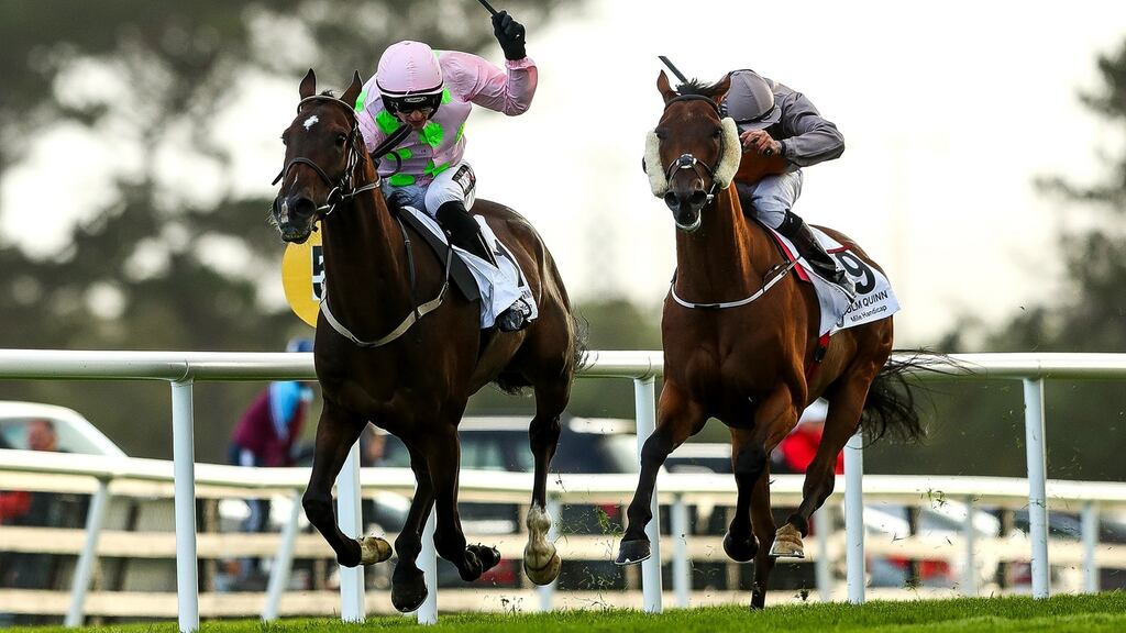 Danny Mullins on Riven Light wins the the Colm Quinn BMW Mile Handicap on day two of the Galway Racing Festival at Ballybrit. Photograph: James Crombie/Inpho
