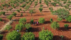 Regenesis by George Monbiot: What price modern agriculture?