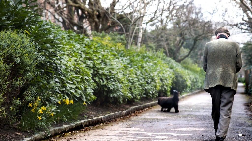 ‘I would always have them as puppies. But I am 74 now; there’s a possibility I could die first, before the dogs. That’s why I got a four-year-old and not a pup.’ Photograph: Getty Images