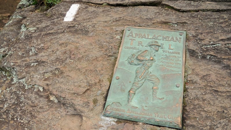 A white blaze mark at Springer Mountain, Georgia marking the Appalachian Trail. Photograph: Getty Images/iStock
