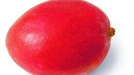 Season’s eatings: an Australian obsession we could all learn from