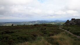 Some Coillte forests see visitor numbers triple during pandemic