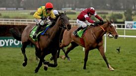 Gordon Elliott confirms Don Poli and Empire of Dirt heading to Cheltenham