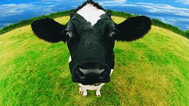 State’s food strategy may no longer be feasible due to Brexit