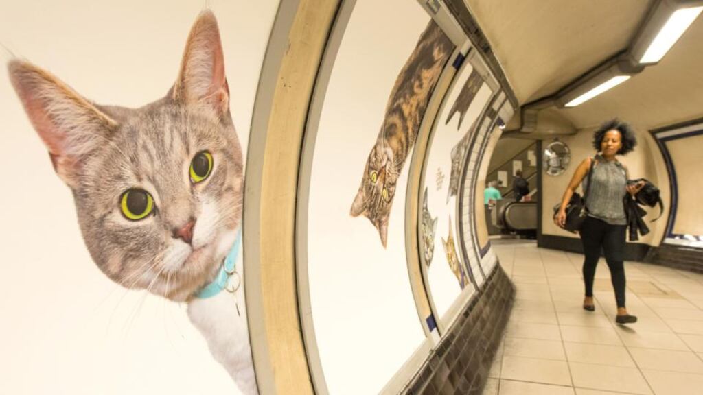 Seven hundred people contributed to a crowdfunding campaign by Citizens Advertising Takeover Service (Cats) to buy up poster sites in Clapham Common tube station in London for a two-week period. Photograph: Dominic Lipinski/PA Wire